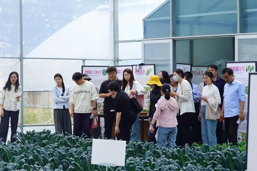 DSC00218.jpg DSC00218.jpg