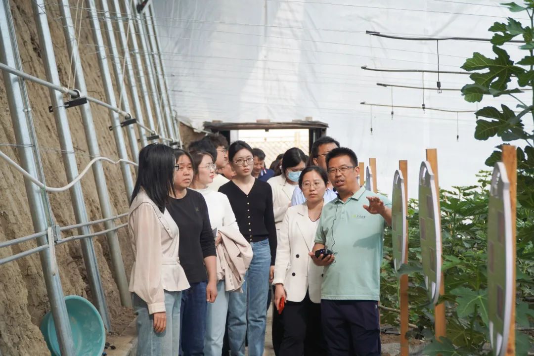 DSC00495.jpg DSC00495.jpg