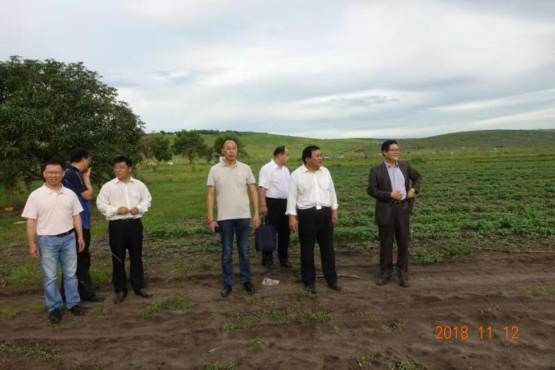 代表团与beat365两位援非农业专家一起参观试验基地